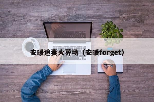 安暖追妻火葬場(chǎng)（安暖forget）